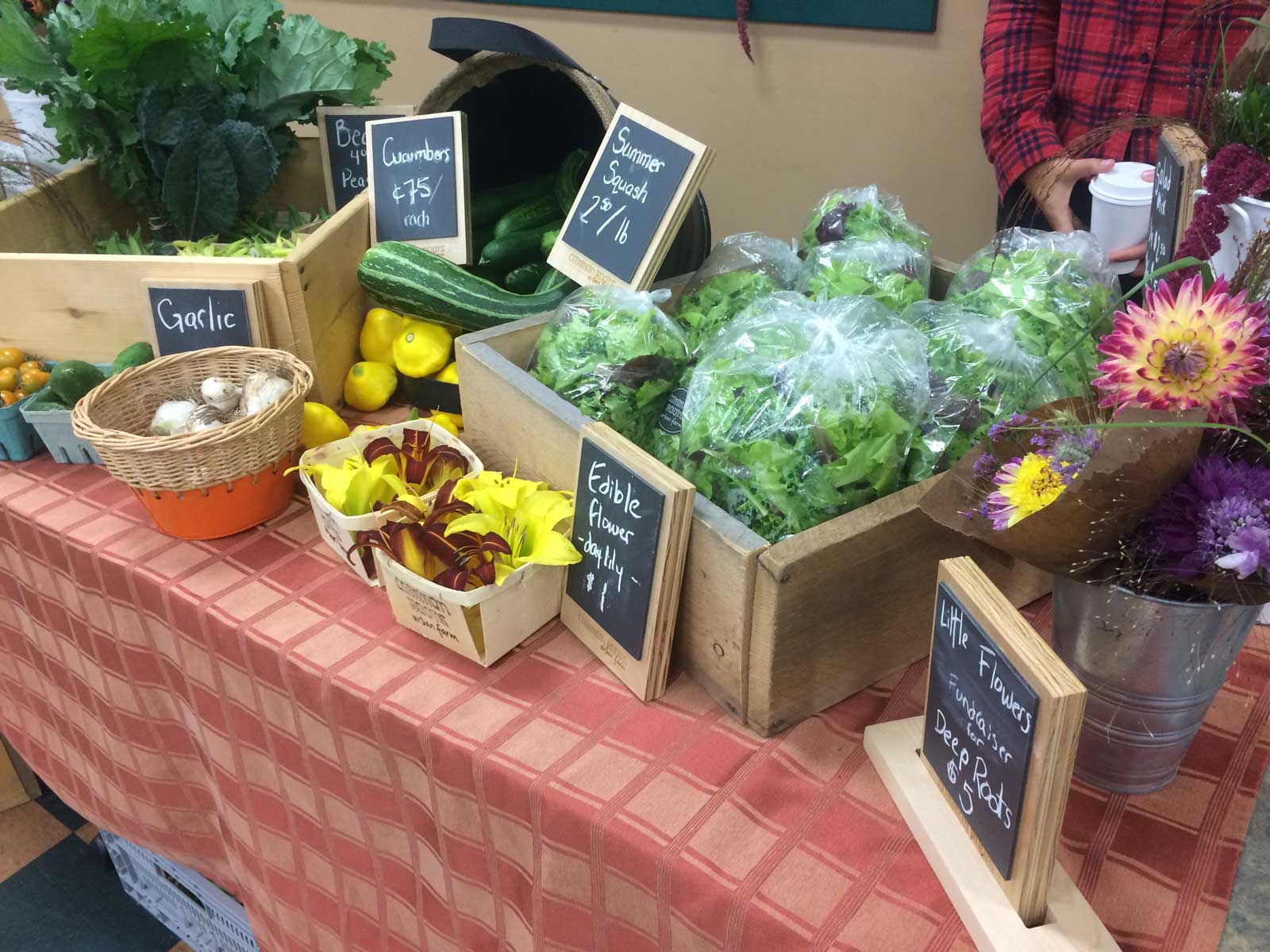 Health Impacts: Quantifying the Growth and Impact of Common Roots ...