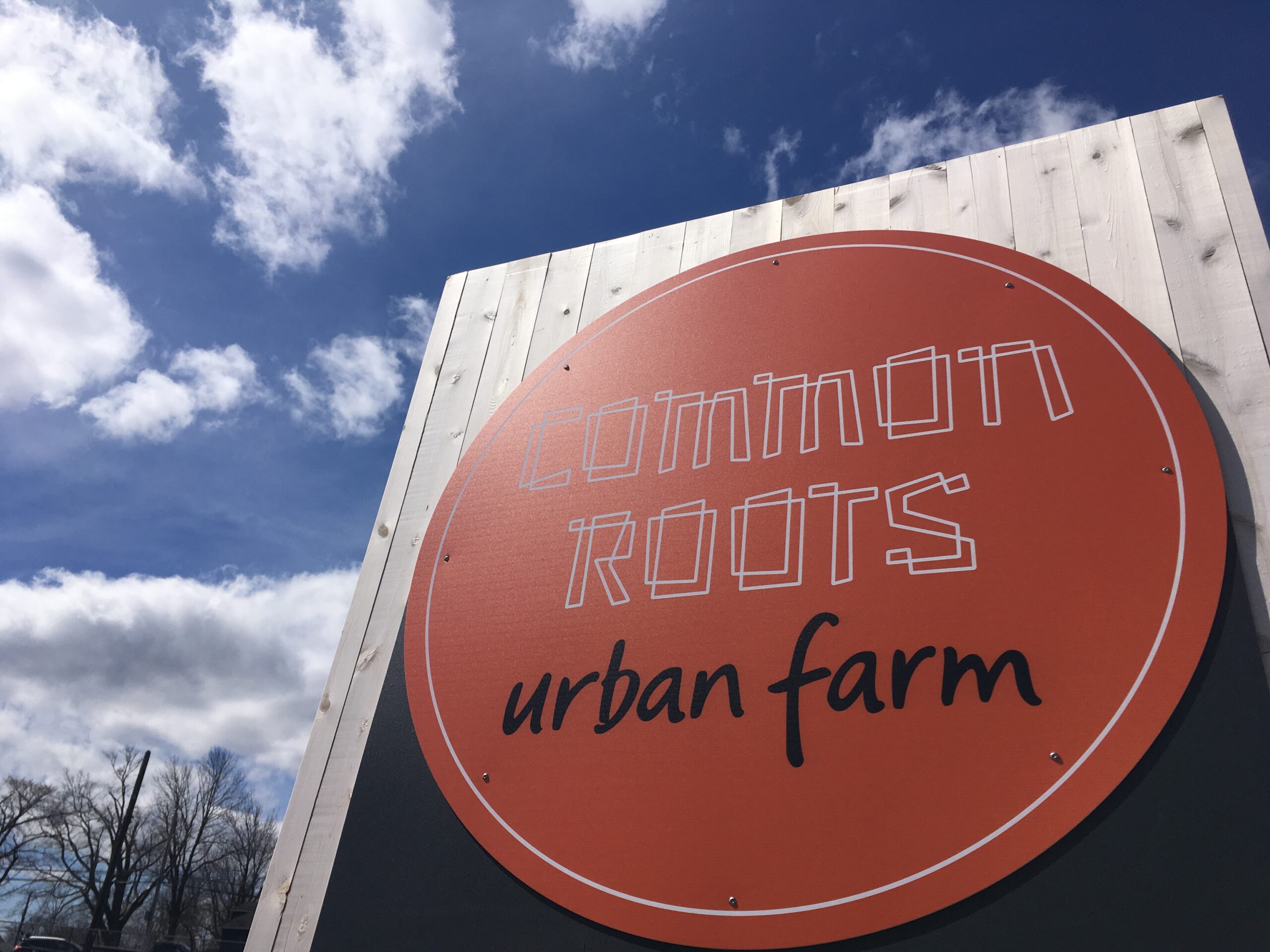 Workshops, workshops, Workshops! - Common Roots Urban Farm