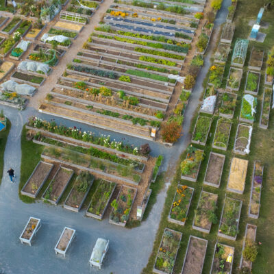 Allotment Plot (Payment for Approved Gardeners Only)