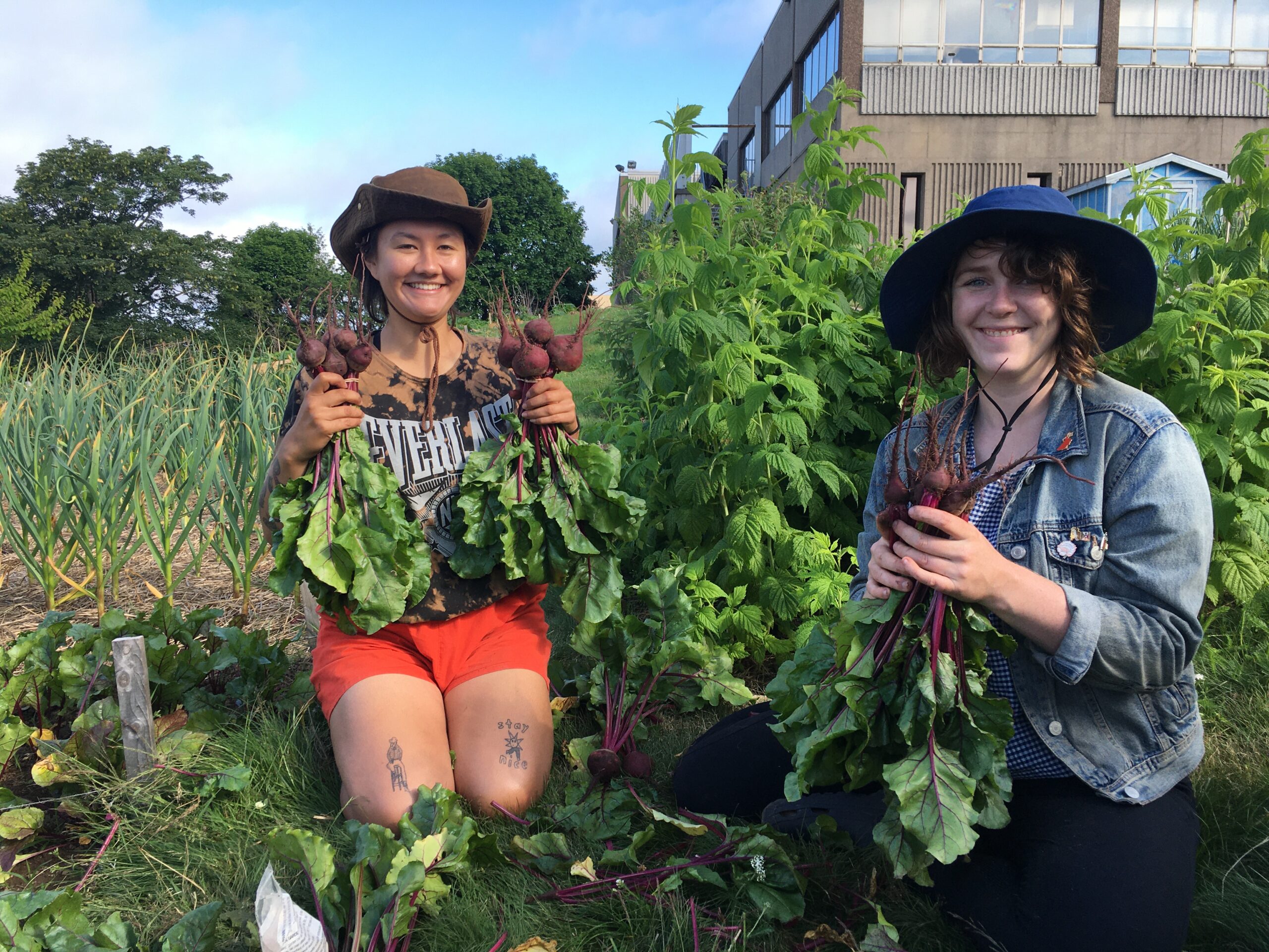 Common Roots is Hiring for 4 Positions - Applications due Sunday April ...