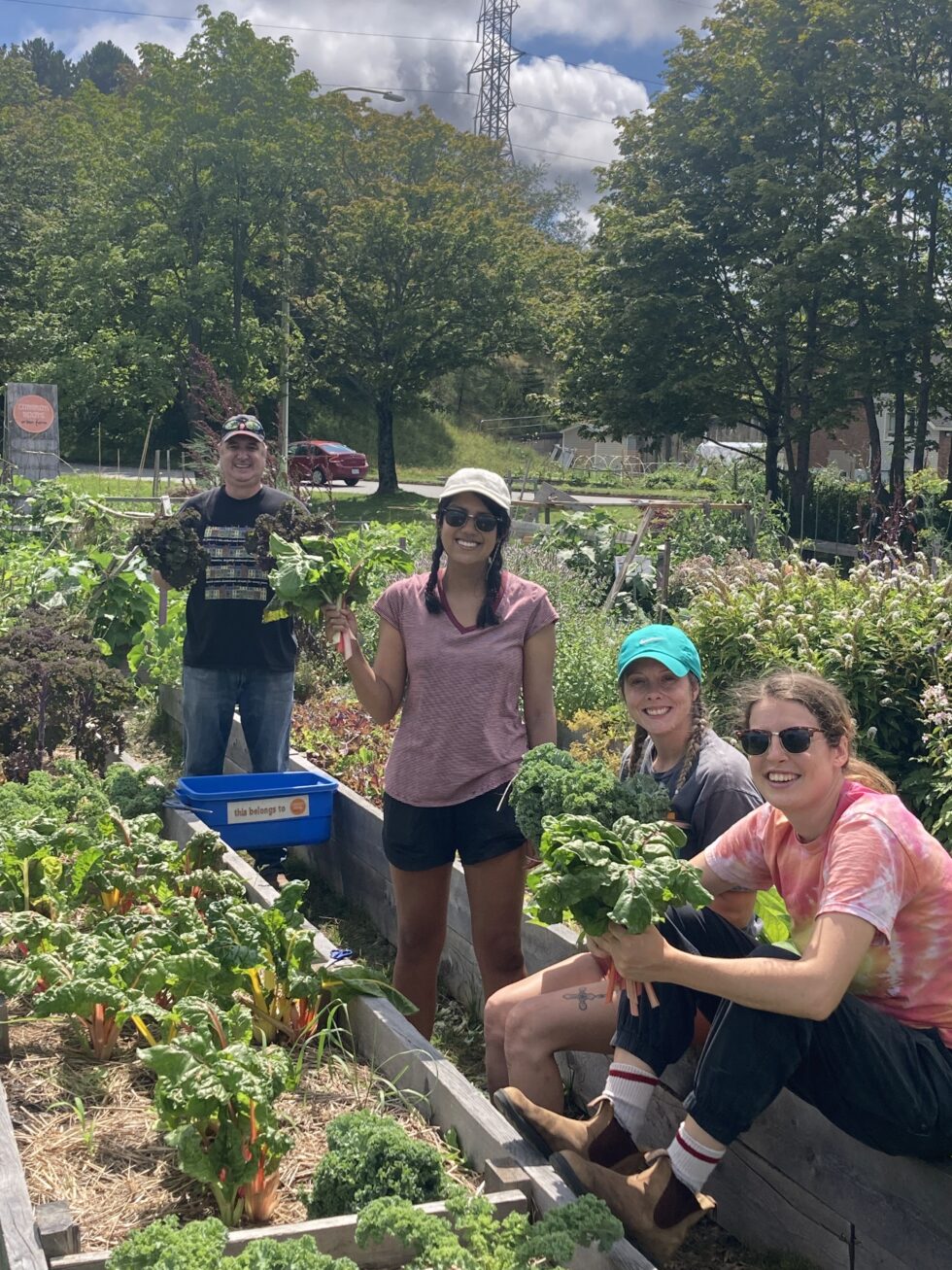Common Roots BiHi is Hiring! - Common Roots Urban Farm